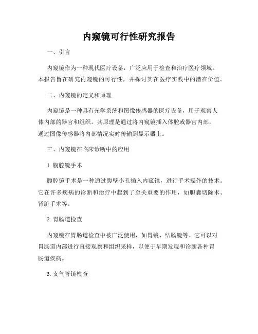 内窥镜可行性研究报告