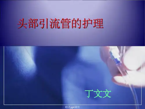 《头部引流管的护理》PPT课件