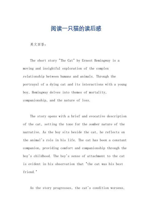 阅读一只猫的读后感