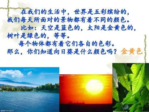 向日葵(共35张PPT)