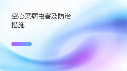 空心菜病虫害及防治措施