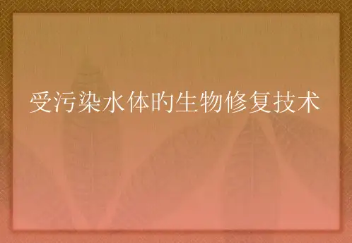 受污染水体的生物修复技术省名师优质课赛课获奖课件市赛课一等奖课件