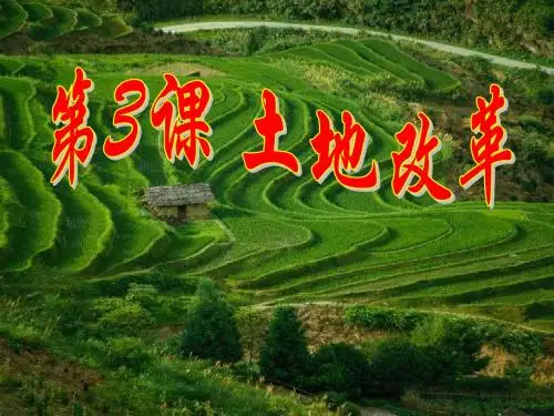 第3课《土地改革》PPT课件
