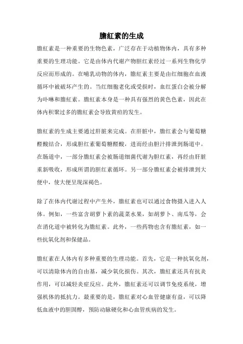 胆红素的生成