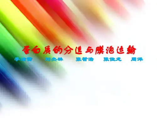 蛋白质分选与膜泡运输