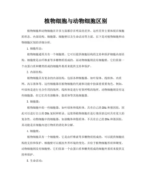 植物细胞与动物细胞区别