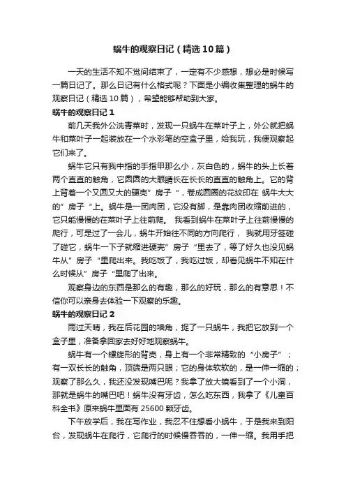 蜗牛的观察日记（精选10篇）