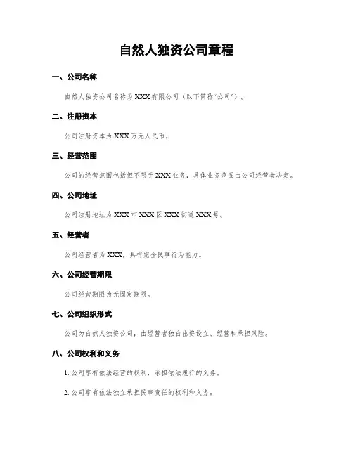 自然人独资公司章程