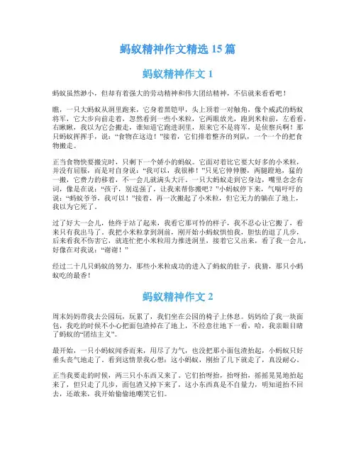 蚂蚁精神作文精选15篇
