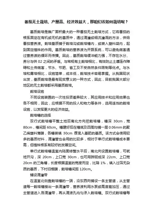 番茄无土栽培、产量高、经济效益大，那咱们该如何栽培呢？