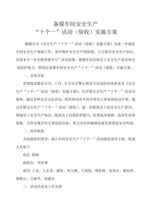 安全生产“十个一”活动验收实施方案 (1) - 副本