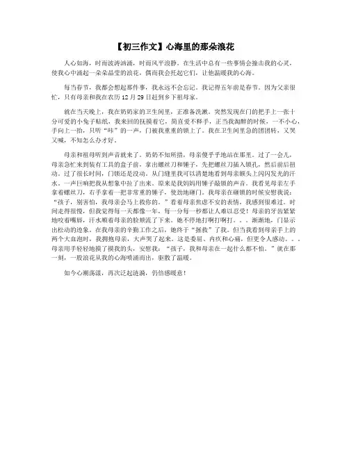 【初三作文】心海里的那朵浪花