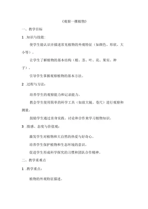 1.2《观察一棵植物》教案-2023-2024学年科学一年级上册教科版