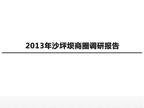 重庆沙坪坝商圈调研汇总