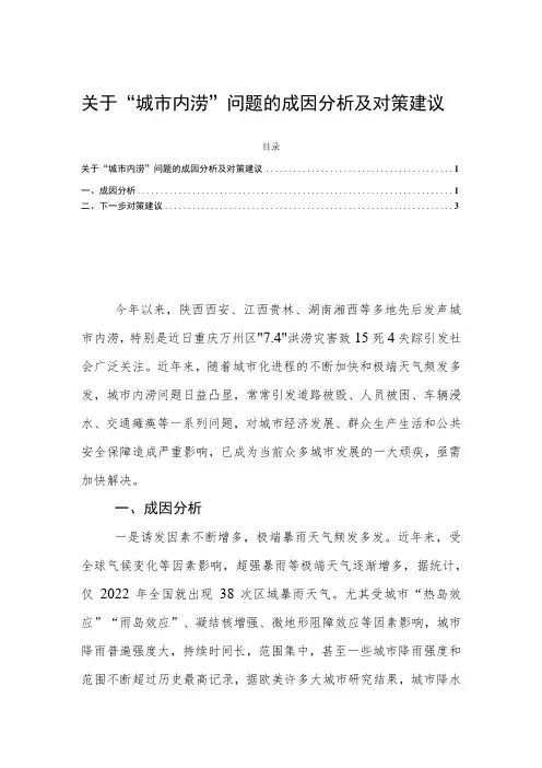 关于“城市内涝”问题的成因分析及对策建议