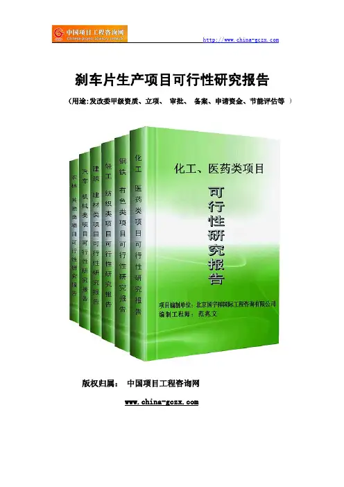 刹车片生产项目可行性研究报告(专业经典案例)