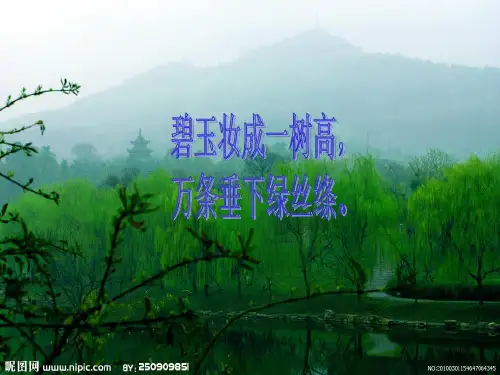 多彩四季专题作文指导课