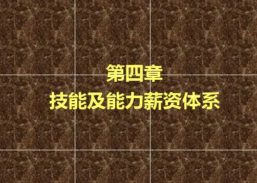 薪酬管理(第四版)刘昕 第4章 技能及能力薪酬体系