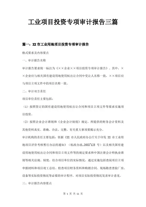 工业项目投资专项审计报告三篇