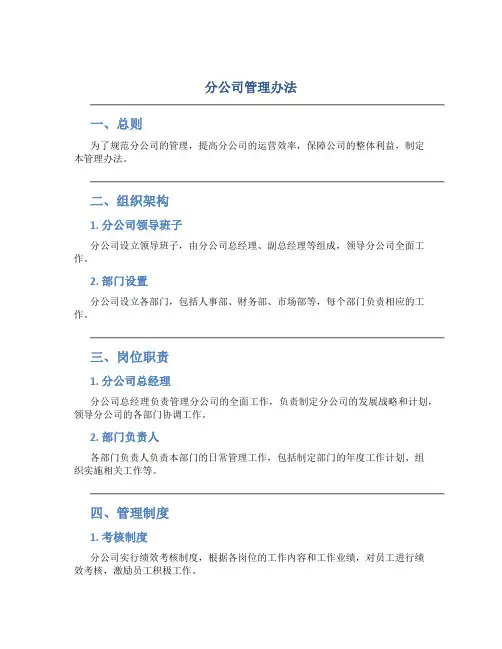 分公司管理办法(DOC9页)