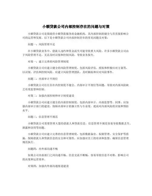 小额贷款公司内部控制存在的问题与对策