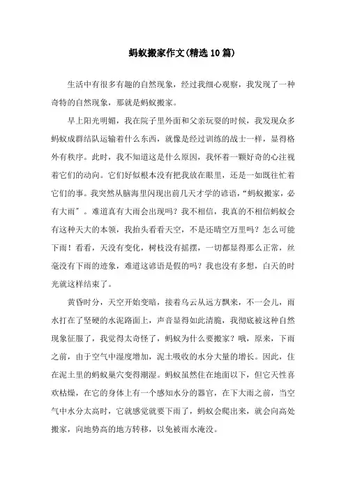 蚂蚁搬家作文(精选10篇)精选