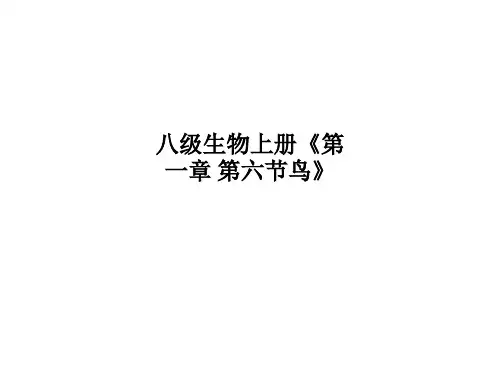 八级生物上册《第一章-第六节鸟》