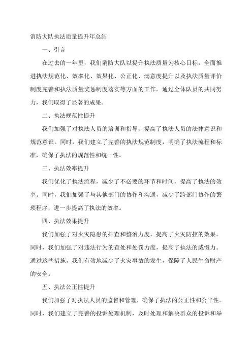 消防大队执法质量提升年总结