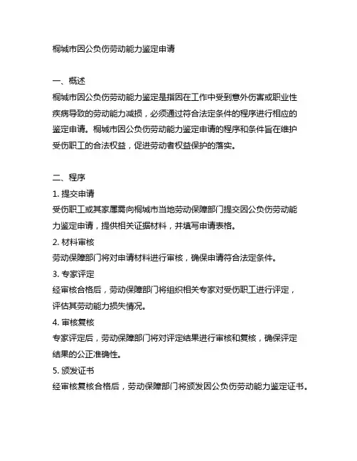 桐城市因公负伤劳动能力鉴定申请