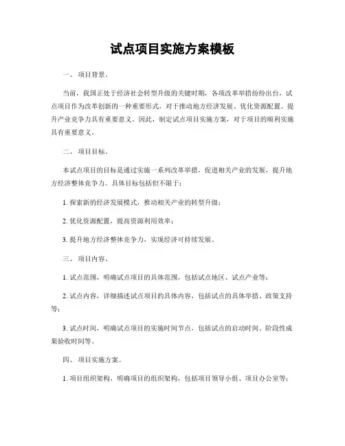 试点项目实施方案模板