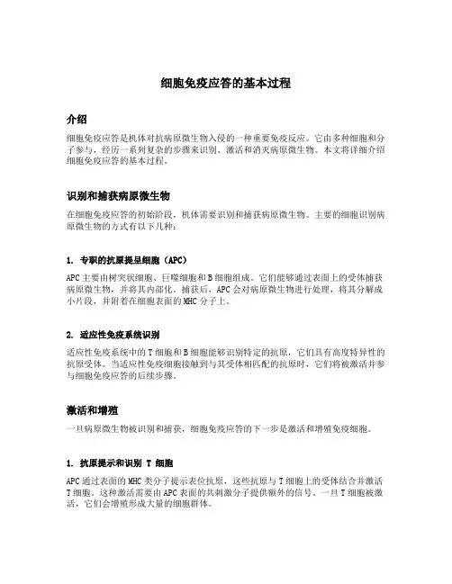 细胞免疫应答的基本过程
