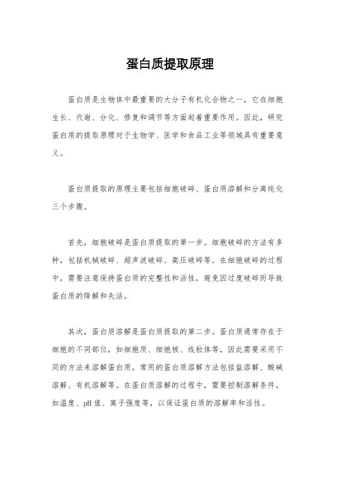 蛋白质提取原理