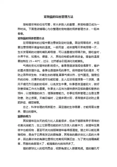 宠物猫的饲养管理方法