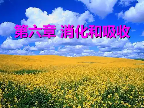 《生理学》第六章-消化和吸收(徐)