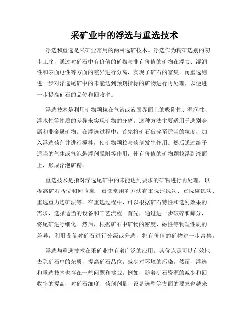 采矿业中的浮选与重选技术