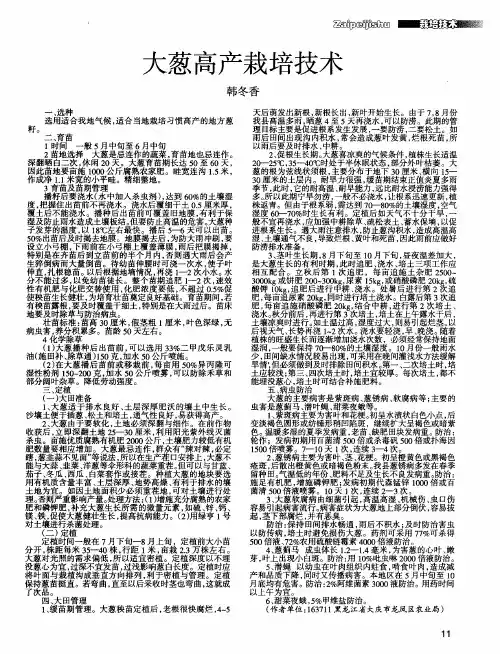 大葱高产栽培技术
