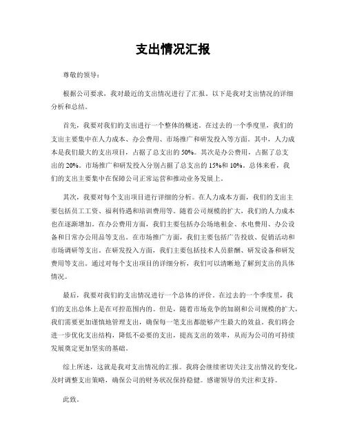 支出情况汇报