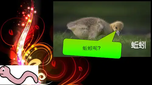 蚯蚓的介绍