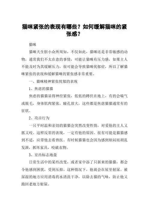 猫咪紧张的表现有哪些？如何缓解猫咪的紧张感？