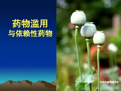 药物滥用与依赖性药物