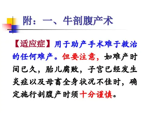 牛剖腹产术