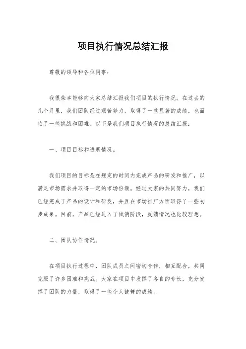 项目执行情况总结汇报