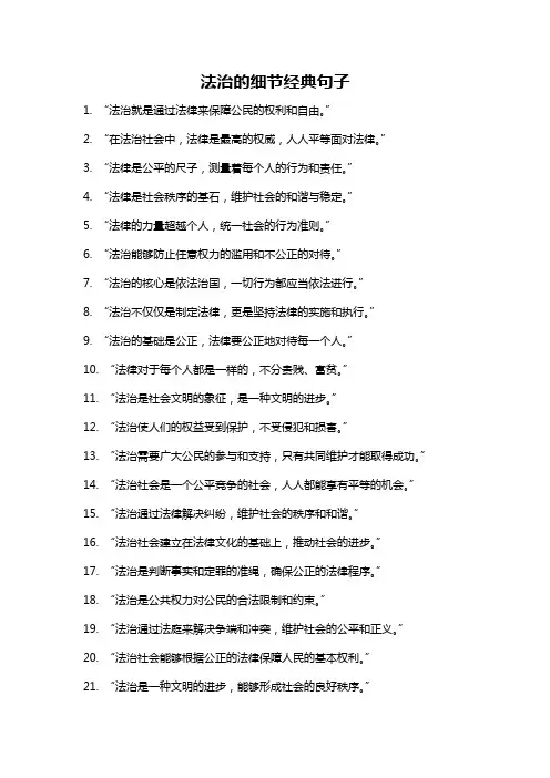 法治的细节经典句子
