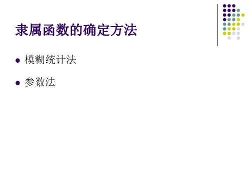 第七讲 隶属函数的确定方法