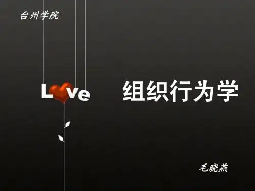 组织行为学 导论