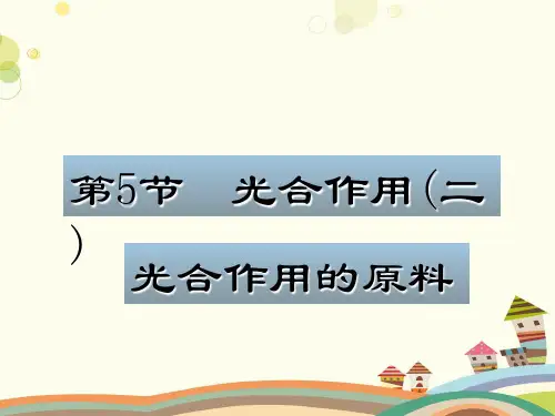 光合作用 全市一等奖-完整版课件