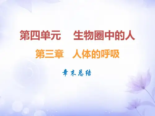 2019春人教版七年级生物下册课件：第三章 章末总结(共16张PPT)