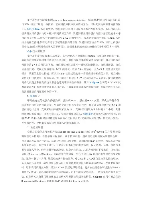 ChIP染色质免疫沉淀技术