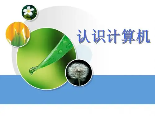 计算机基础说课课件