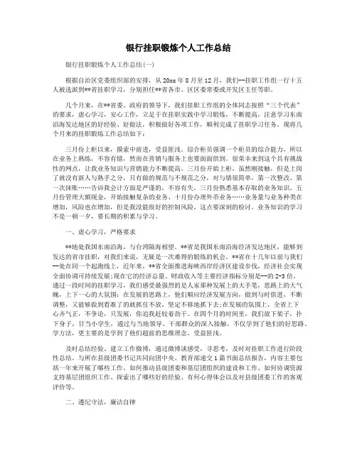 银行挂职锻炼个人工作总结